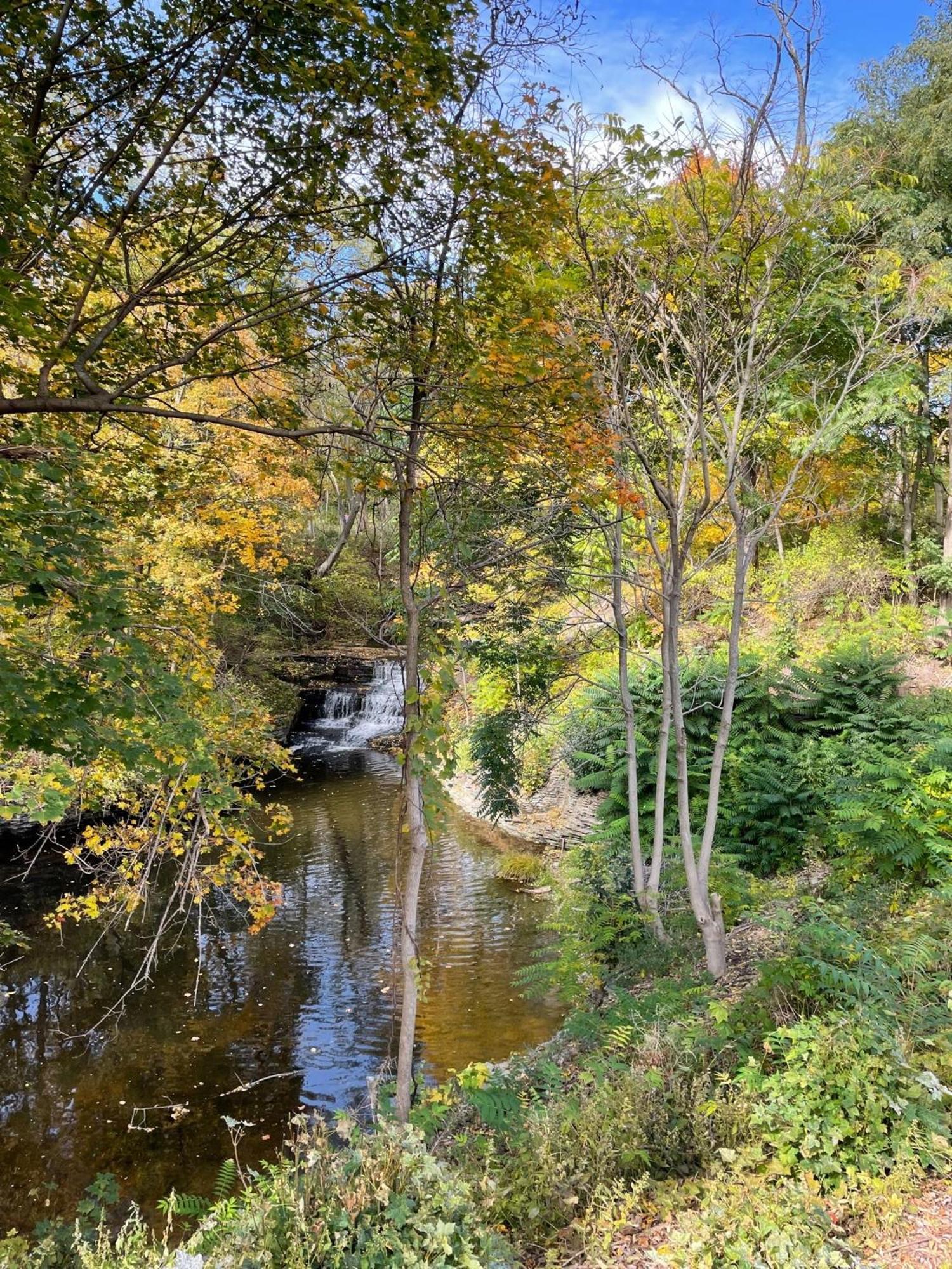 The Fallsview At Burdett Falls Room photo